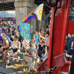 CSD26-Vulvas-gegen-Weidel.jpg